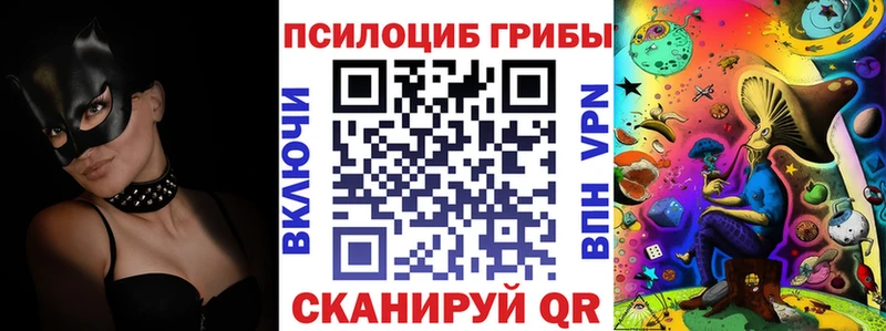 Галлюциногенные грибы Psilocybine cubensis  Терек 